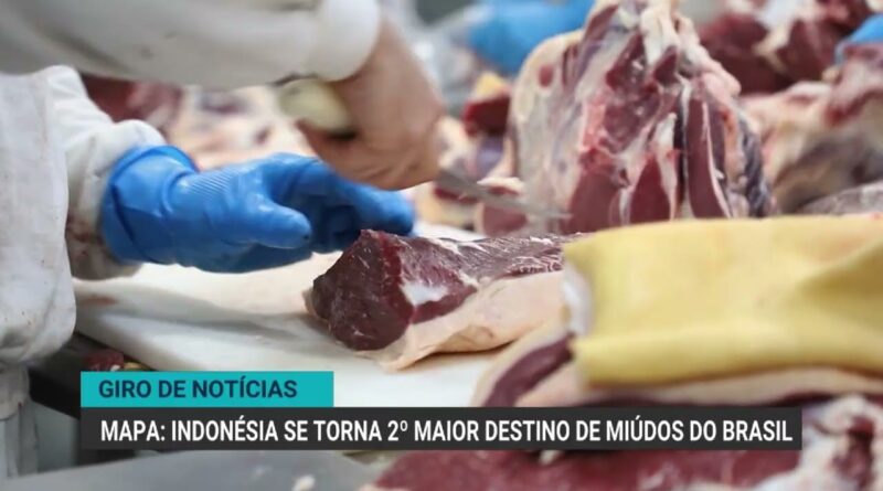 Óleo de soja enfrenta demanda fraca, mas ganha competitividade externa