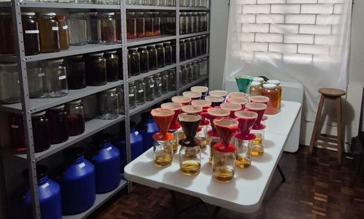 bebidas
