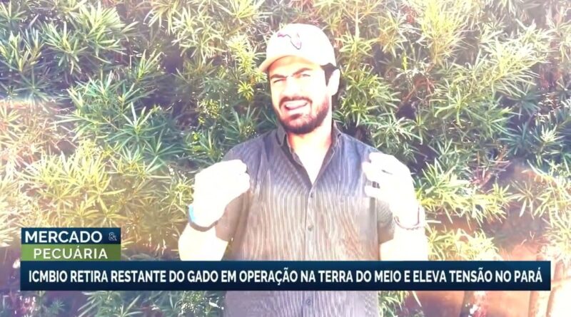 Operação do ICMBio apreende gado e gera tensão em São Félix do Xingu