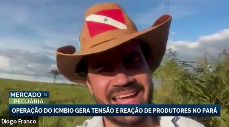 Operação do ICMBio no Pará gera protestos entre criadores de gado