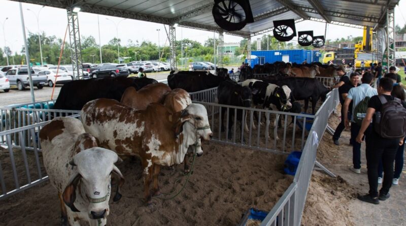 PEC Brasil espera movimentar mais de R$ 150 milhões em negócios