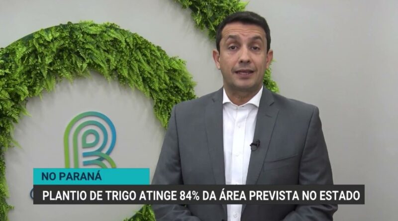 Paraná pode retomar liderança na produção de trigo em 2023