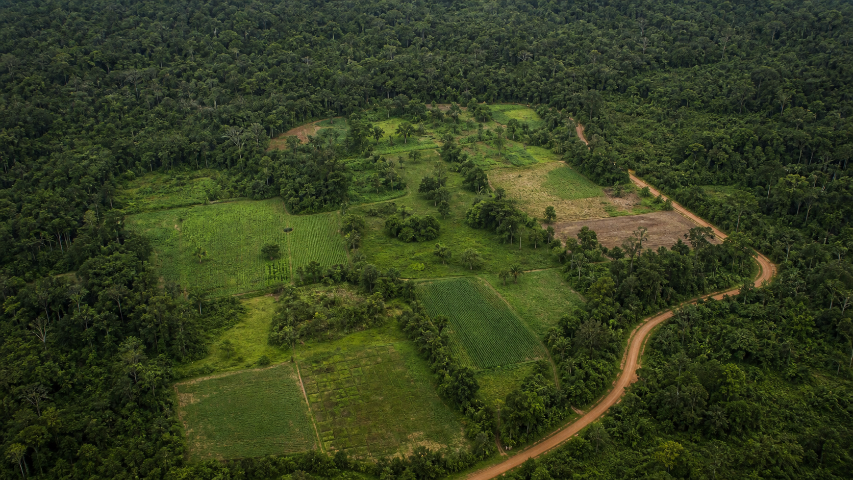Parcerias ampliam renda e reforçam conservação em áreas produtivas da Amazônia
