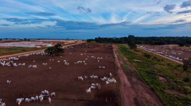 Foto: Divulgação.