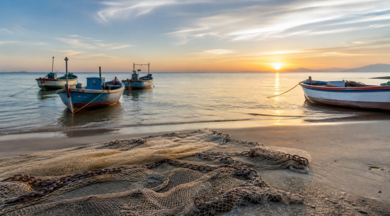 Pesca de tainha por arrasto de praia é suspensa após limite da cota ser atingido