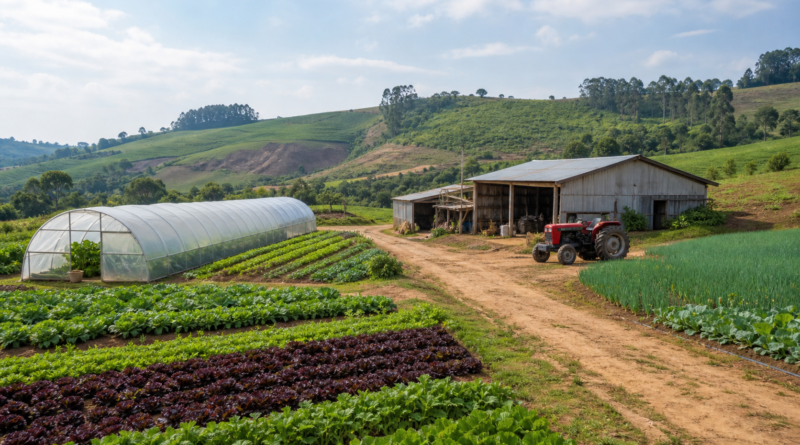 Política de valorização da mulher rural avança em comissão da Câmara