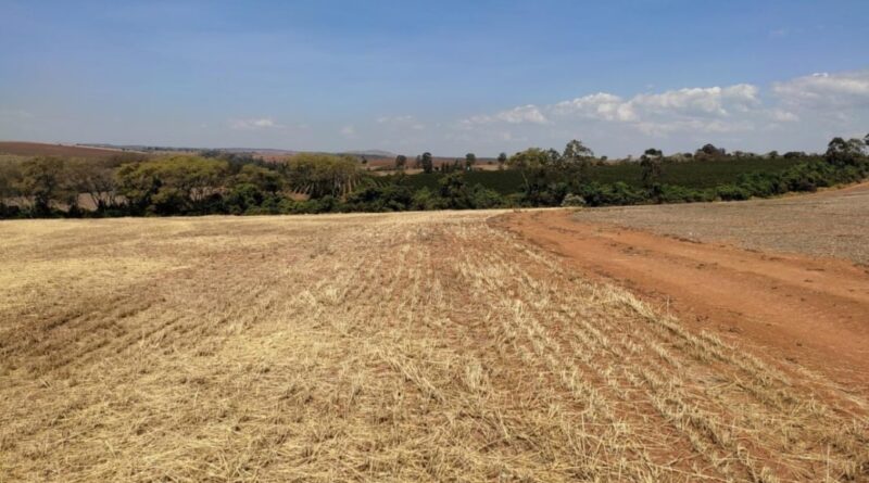 Acre reforça calendário do vazio sanitário da soja e alerta para medidas de combate à ferrugem asiática