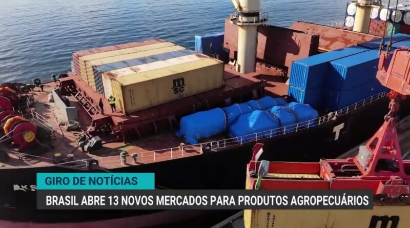 Preços da tilápia seguem em alta com oferta restrita e exportações crescem