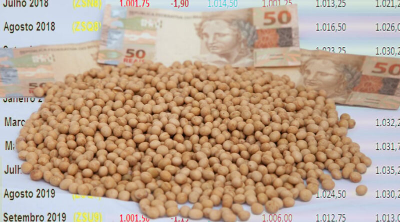 monte de soja com notas de real espalhadas ao redor