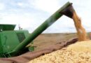colheita soja, brexit, commodities agrícolas