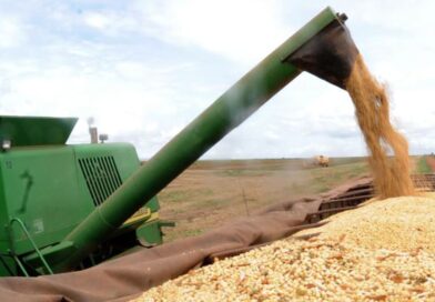 colheita soja, brexit, commodities agrícolas