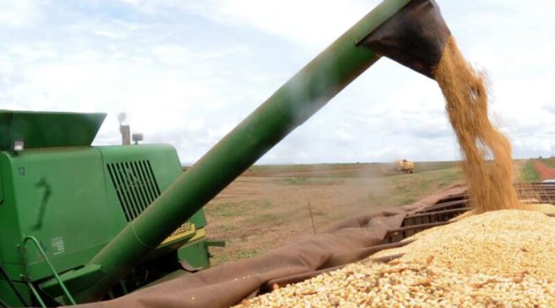 colheita soja, brexit, commodities agrícolas