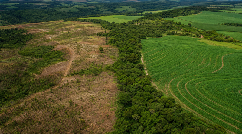Programa Caminho Verde Brasil é apresentado em fórum internacional do agro