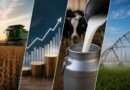Agro, PIB, leite, irrigação