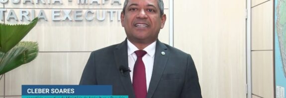Recuperação de pastagens degradadas é fundamental para pecuária brasileira