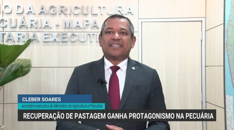 Recuperação de pastagens degradadas é fundamental para pecuária brasileira