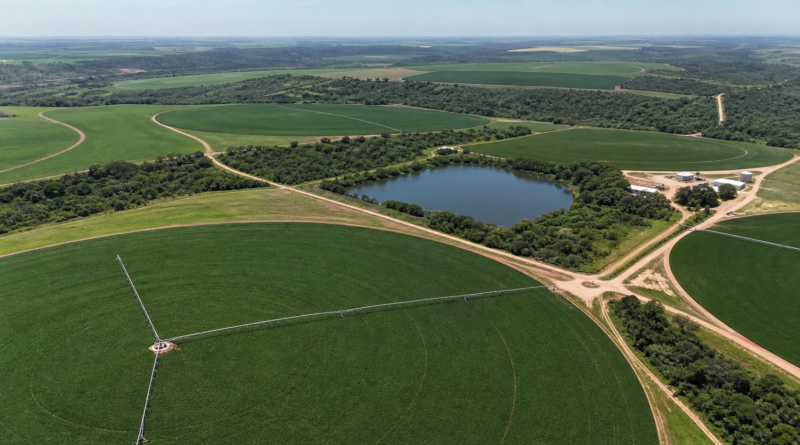 Secretaria da Agricultura do RS completa 91 anos com programas voltados ao agro