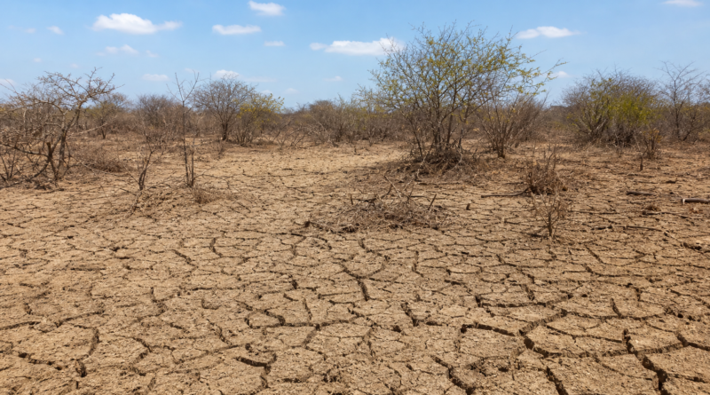 Seminário em Recife debate desertificação e justiça ambiental no Semiárido