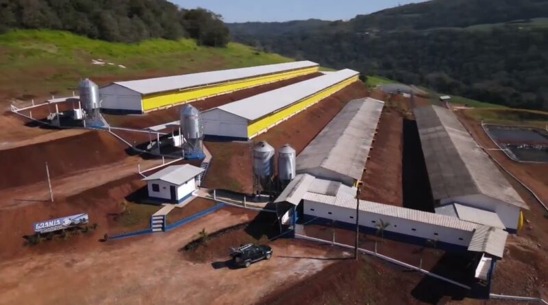 Suinocultores do Espírito Santo discutem automação e capacitação profissional