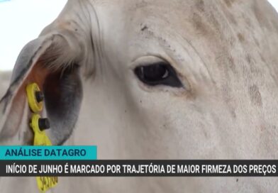 Suspensão das importações de carnes pela UE impacta mercado brasileiro