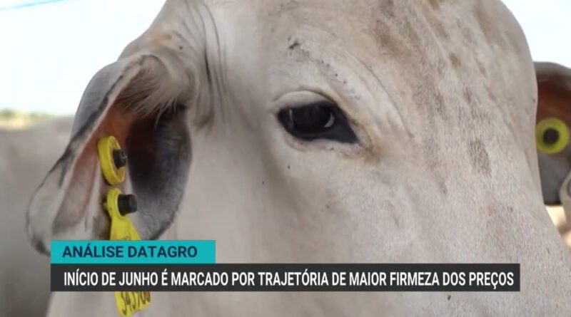 Suspensão das importações de carnes pela UE impacta mercado brasileiro