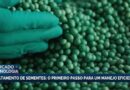 Tratamento de sementes é fundamental para alta produtividade agrícola