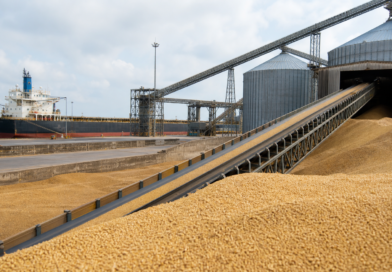 USDA informa venda de 190 mil toneladas de farelo de soja dos EUA para as Filipinas