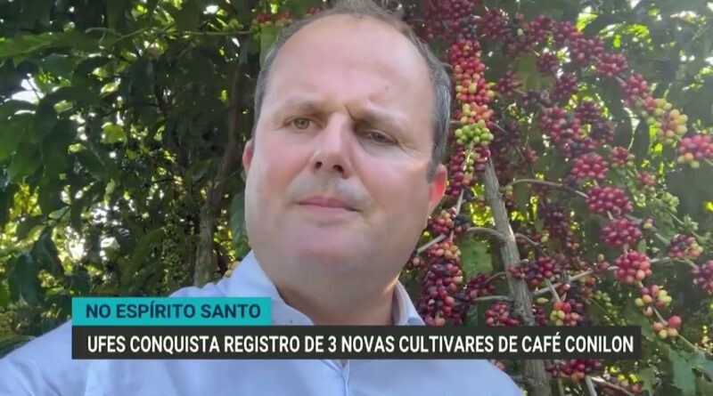 Universidade lança três novas cultivares de café Conilon adaptadas ao frio e com baixo teor de cafeína