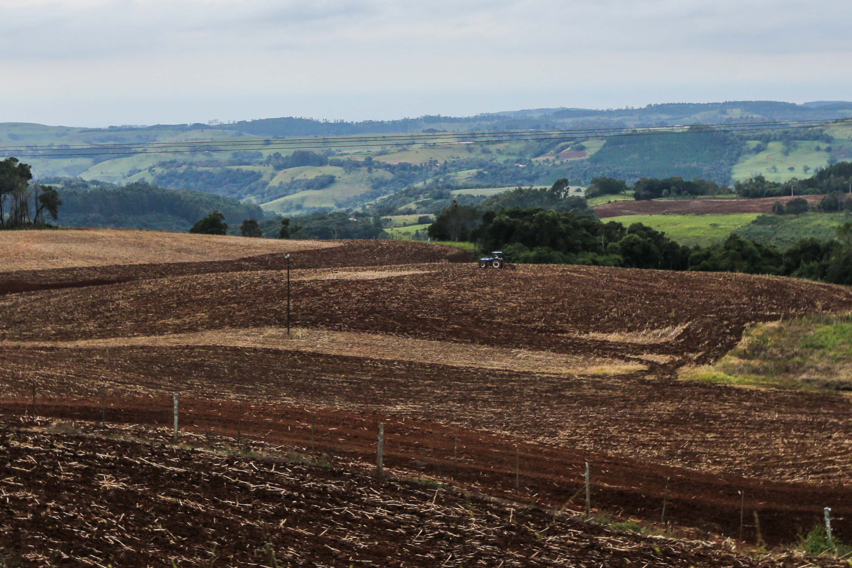 soja, vazio sanitário, Paraná