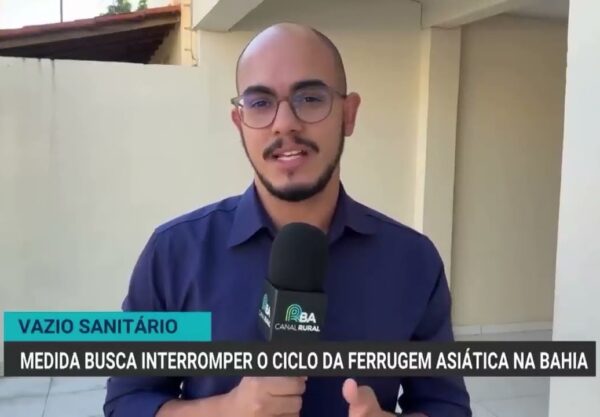 Vazio sanitário da soja inicia no oeste da Bahia com novas regras