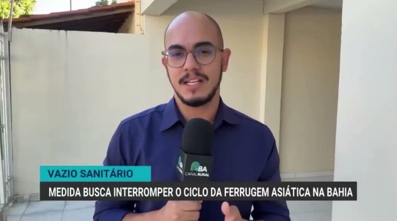 Vazio sanitário da soja inicia no oeste da Bahia com novas regras