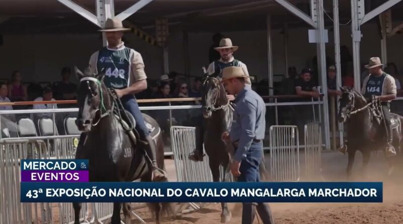 43ª exposição nacional do cavalo manga larga marchador em BH