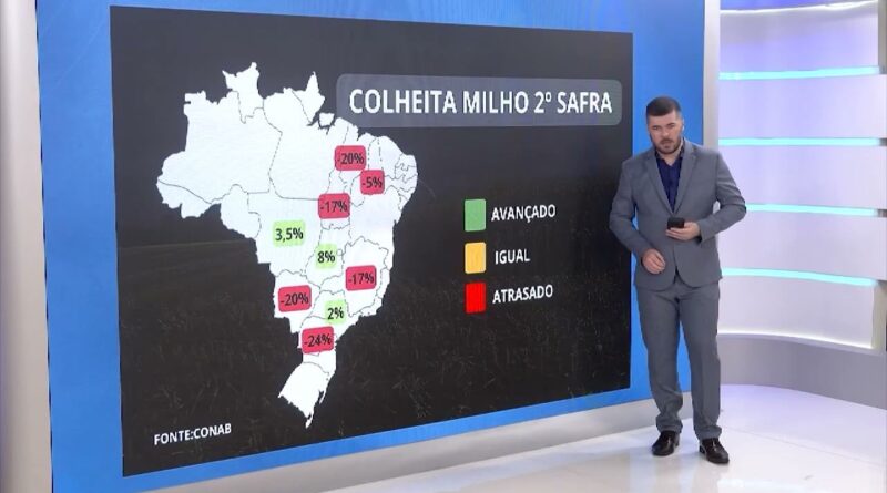 Alerta de temporais e calor extremo ameaçam colheita de milho no Brasil