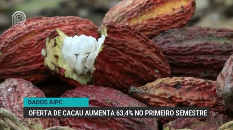 Alta de 63,4% no recebimento de cacau no primeiro semestre de 2026