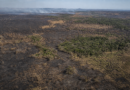 Área queimada no Brasil cai 31% em 2025, aponta MapBiomas