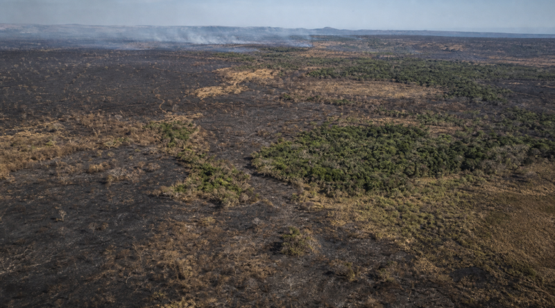 Área queimada no Brasil cai 31% em 2025, aponta MapBiomas