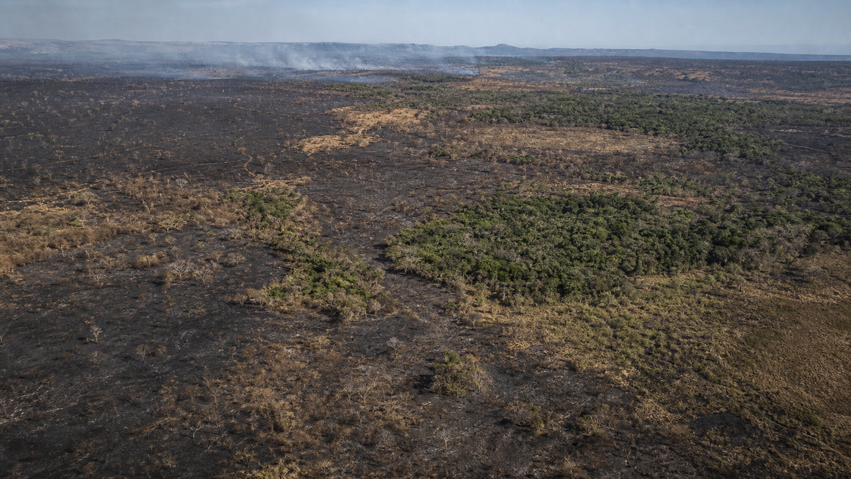 Área queimada no Brasil cai 31% em 2025, aponta MapBiomas