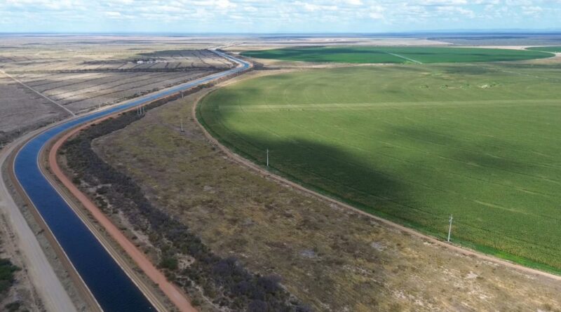 Baixio de Irecê impulsiona agricultura irrigada no sertão baiano
