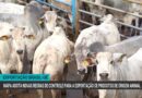 Brasil adota novas regras para carne exportada à União Europeia