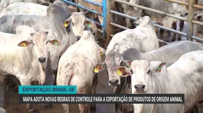 Brasil adota novas regras para carne exportada à União Europeia