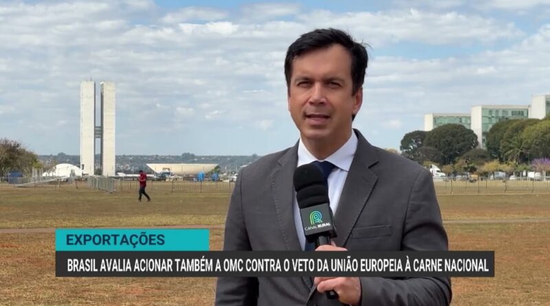 Brasil avalia acionar OMC contra veto da União Europeia às carnes