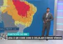 Calor e chuvas abaixo da média ameaçam lavouras de morango no Sul de Minas