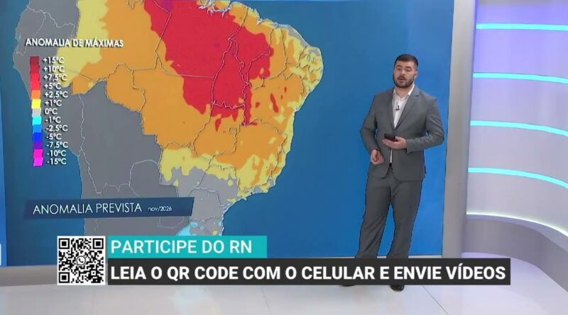 Calor e chuvas abaixo da média ameaçam lavouras de morango no Sul de Minas