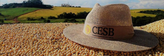 Cesb anunciará os vencedores do Desafio Nacional de Máxima Produtividade de Soja da safra 2025/26