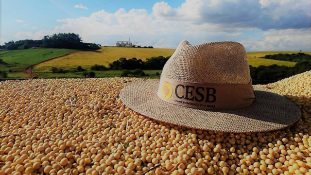 Cesb anunciará os vencedores do Desafio Nacional de Máxima Produtividade de Soja da safra 2025/26