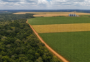 Coalizão apresenta 8 propostas do agro e do clima a presidenciáveis de 2026