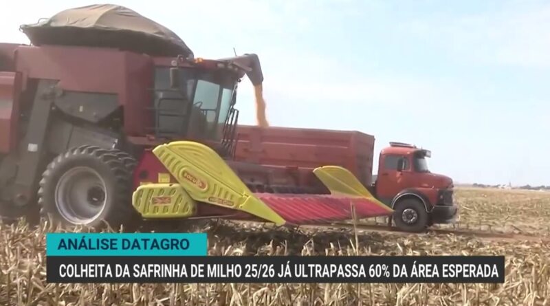 Colheita do milho safrinha 2025/26 ultrapassa 60% da área no Brasil