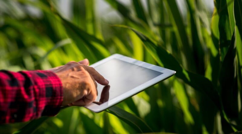 Imagem mostra análise de dados no agronegócio