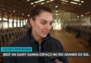Cruzamento Beef on Dairy gera bezerros de alto valor no Sul do Brasil