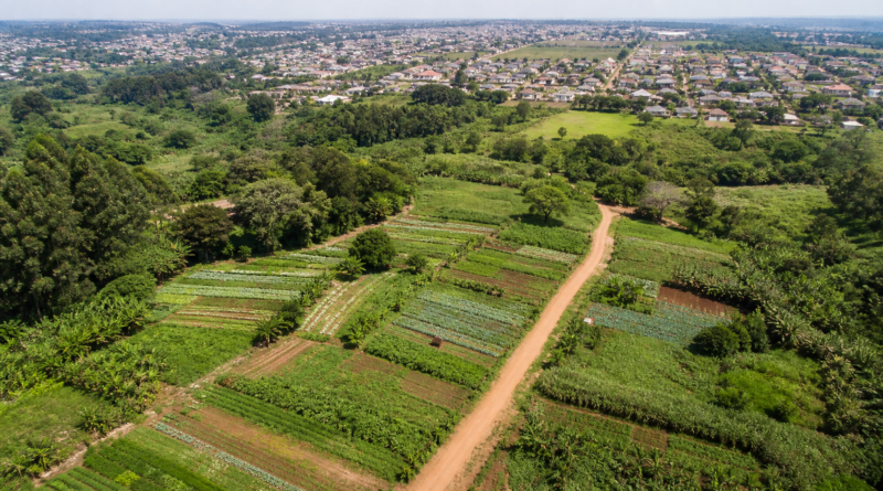 Desapropriação da Fazenda Itahyê será anunciada para reforma agrária em São Paulo